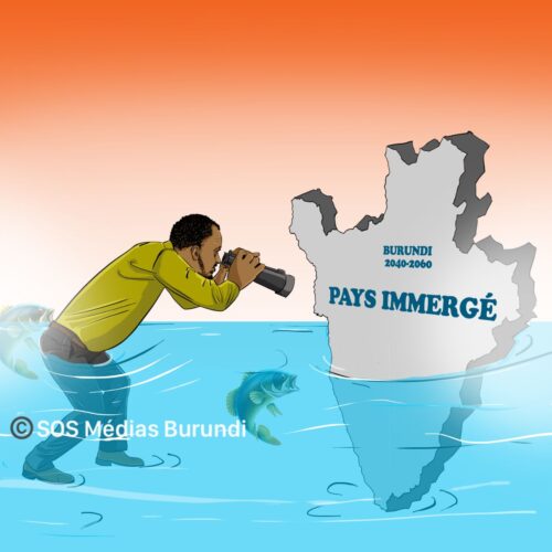 BAREGEYA”S DREAMS : 2040-2060 or transform Tanganyika into a wine lake – welcome to the submerged country