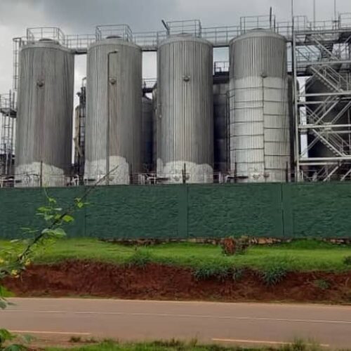 Gitega : the devastating effects of the shortage of Brarudi drinks