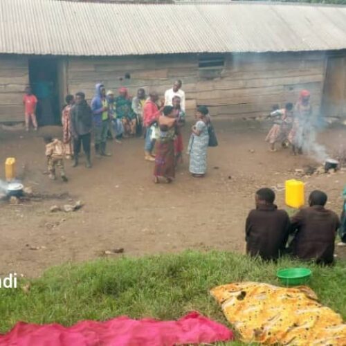 Kalehe : plus de 90 mille déplacés de guerre sans assistance