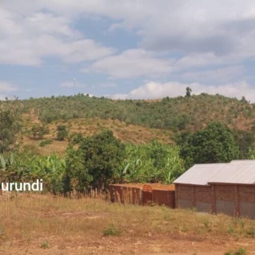 Muyinga-Kirundo: maeneo ya Cibari na Runanira yamechelewa kuendelezwa, wamiliki wa viwanja hawana furaha.