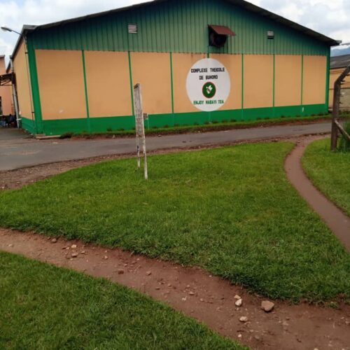 Cibitoke : arrêt des activités à l&rsquo;OTB Buhoro suite au manque d&rsquo;électricité et de carburant