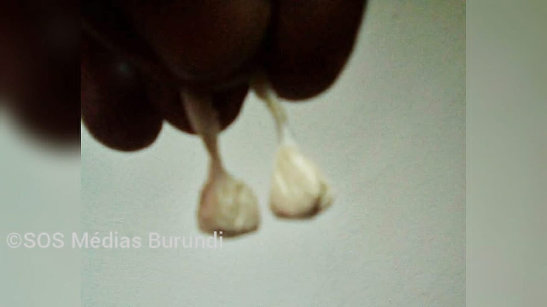 Burundi : la toxicomanie n&rsquo;épargne pas les femmes