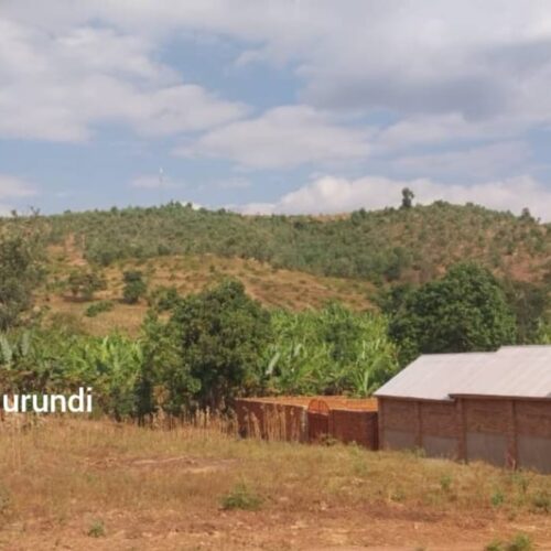 Muyinga-Kirundo : sites of Cibari and Runanira are slow to be developed, owners of the plots are unhappy