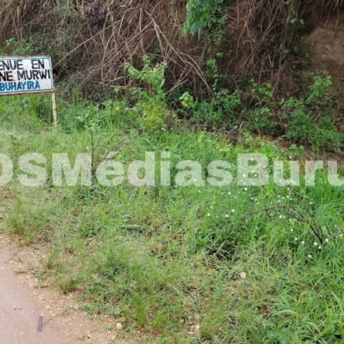 Murwi : a sixty-year-old woman murdered