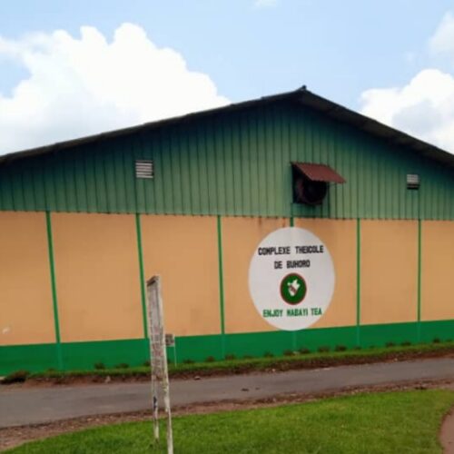Cibitoke : cessation of activities at OTB Buhoro following lack of electricity and fuel