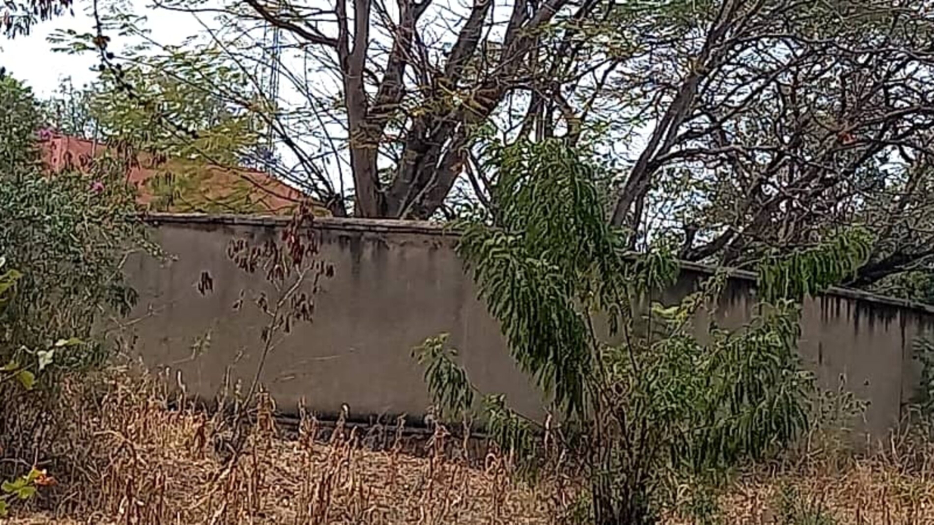 Cibitoke : un commerçant sous torture depuis cinq jours dans le cachot du Service national des renseignements