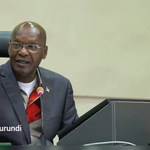 Burundi: Spika wa Bunge la Kitaifa anapiga marufuku manaibu kukemea mzozo uliopo na anakusudia kurejesha hukumu ya kifo kwa wale wanaovuruga uchumi