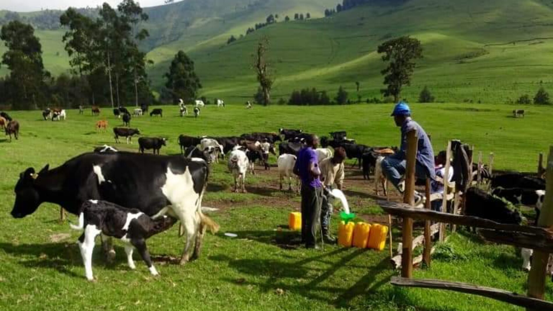 DRC: vyama vyakemea matamshi ya chuki dhidi ya walio wachache