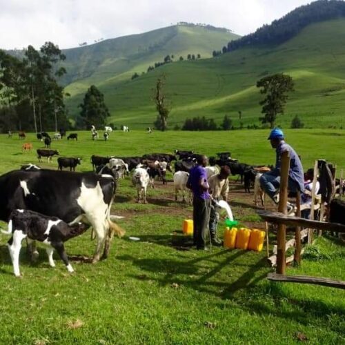 DRC: vyama vyakemea matamshi ya chuki dhidi ya walio wachache