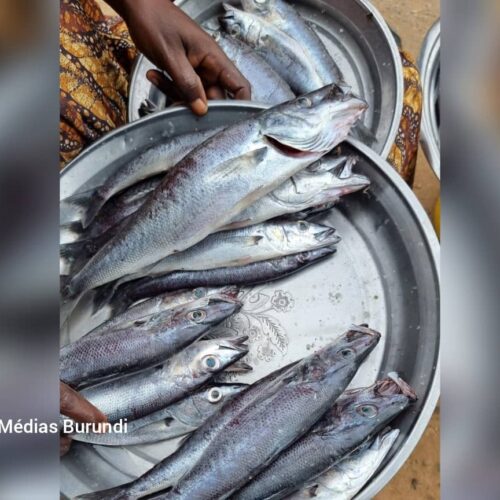Rumonge : fishing disrupted by lack of fuel