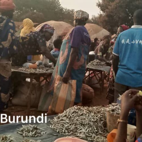 Nyarugusu (Tanzania): closing of the last small market in the camp