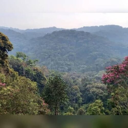 Cibitoke : four people killed including a soldier in Kibira