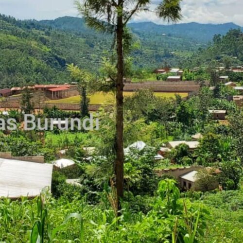 Mugina: anayedaiwa kuwa mwizi aliyeuawa na Imbonerakure
