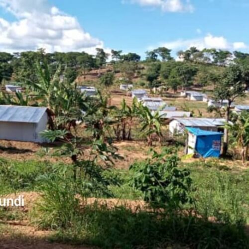 Nduta (Tanzania) : discovery of a body not yet identified