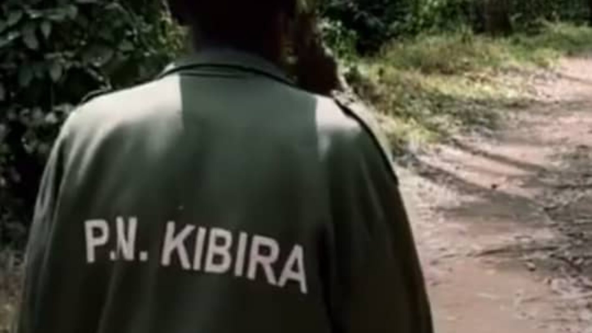 Kayanza: msitu wa asili wa Kibira unaotishiwa na watu wa kiasili bila ardhi ya kulima