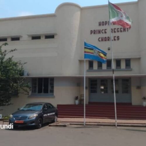 Burundi: zaidi ya visa 25 vya tumbili vimegunduliwa