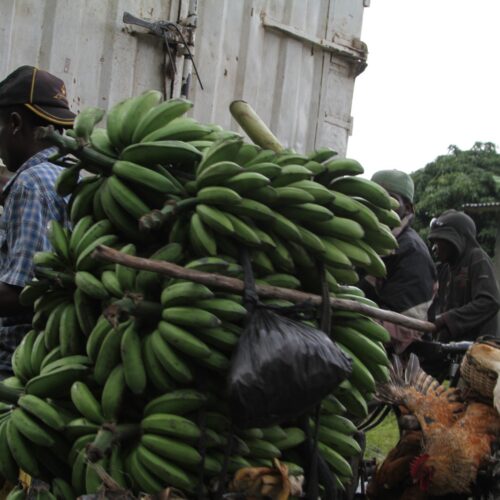 Kayanza: a man killed by his wife for selling a bunch of bananas