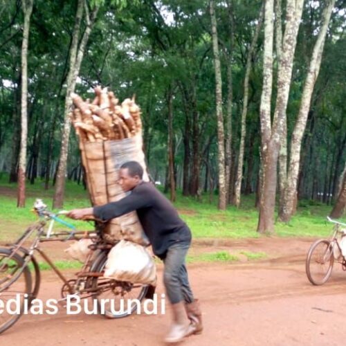 Nduta (Tanzania): mtuhumiwa wa ubakaji wa watoto