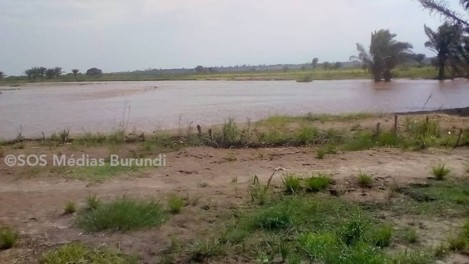 Cibitoke : two lifeless bodies found near the border with the DRC