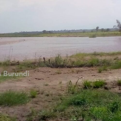 Cibitoke : two lifeless bodies found near the border with the DRC