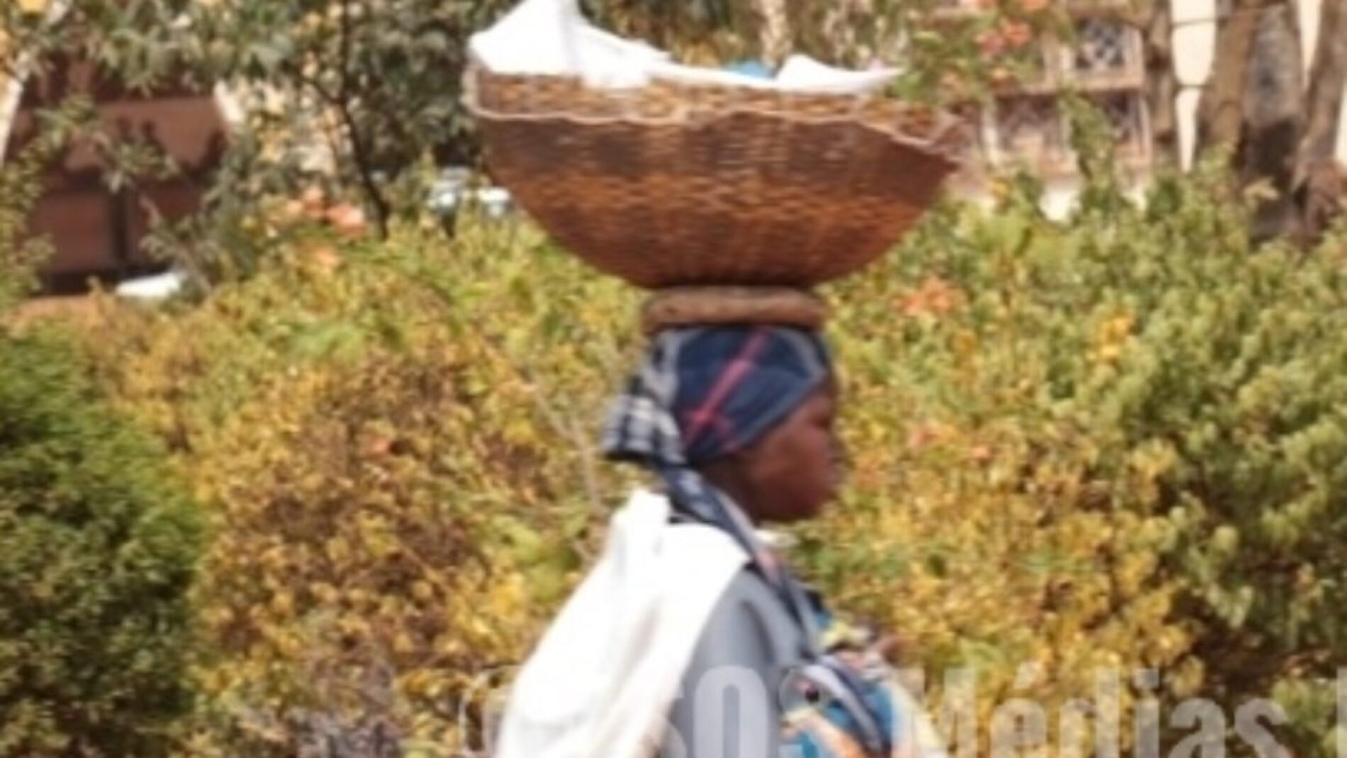 Burundi : les agriculteurs appelés à adapter leurs activités culturales au climat