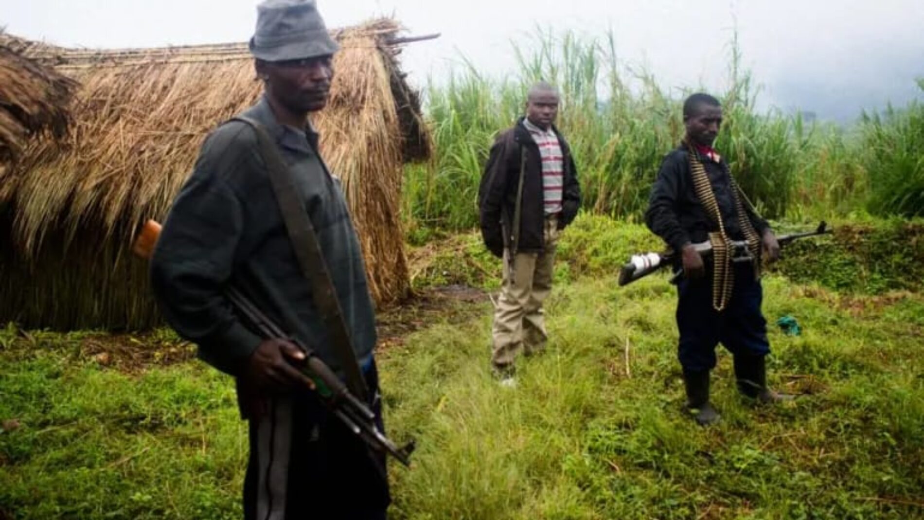 Burundi : les autorités burundaises hébergent les responsables des FLN et FDLR-parias de la sous-région