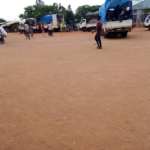 Mahama (Rwanda) : une lutte contre les insectes nuisibles qui sauve et qui frustre à la fois