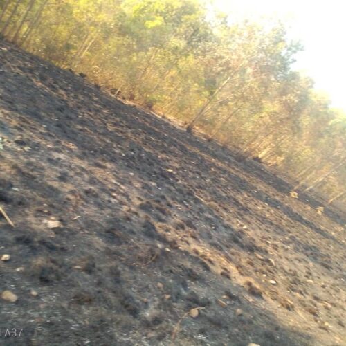 Sud du Burundi : des incendies à caractère criminel ravagent des hectares de boisements