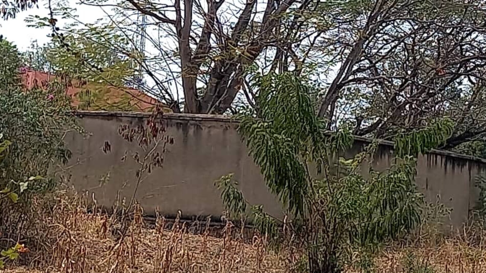 Cibitoke : a person dies in the dungeon of the Intelligence Service
