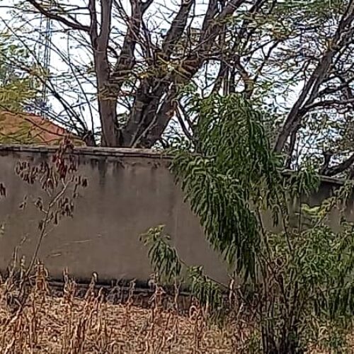 Cibitoke : a person dies in the dungeon of the Intelligence Service
