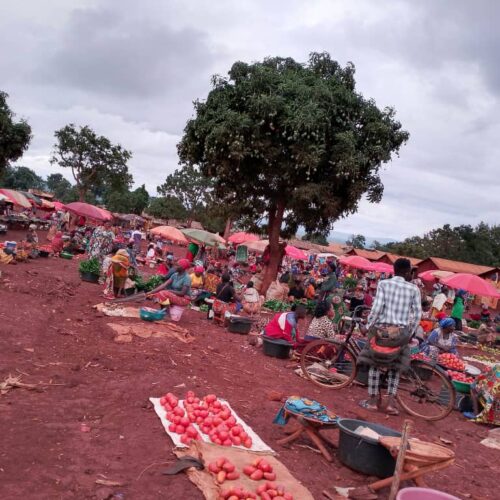 Nyarugusu (Tanzanie) : des Tanzaniens se sont opposés à l&rsquo;enlèvement de réfugiés burundais