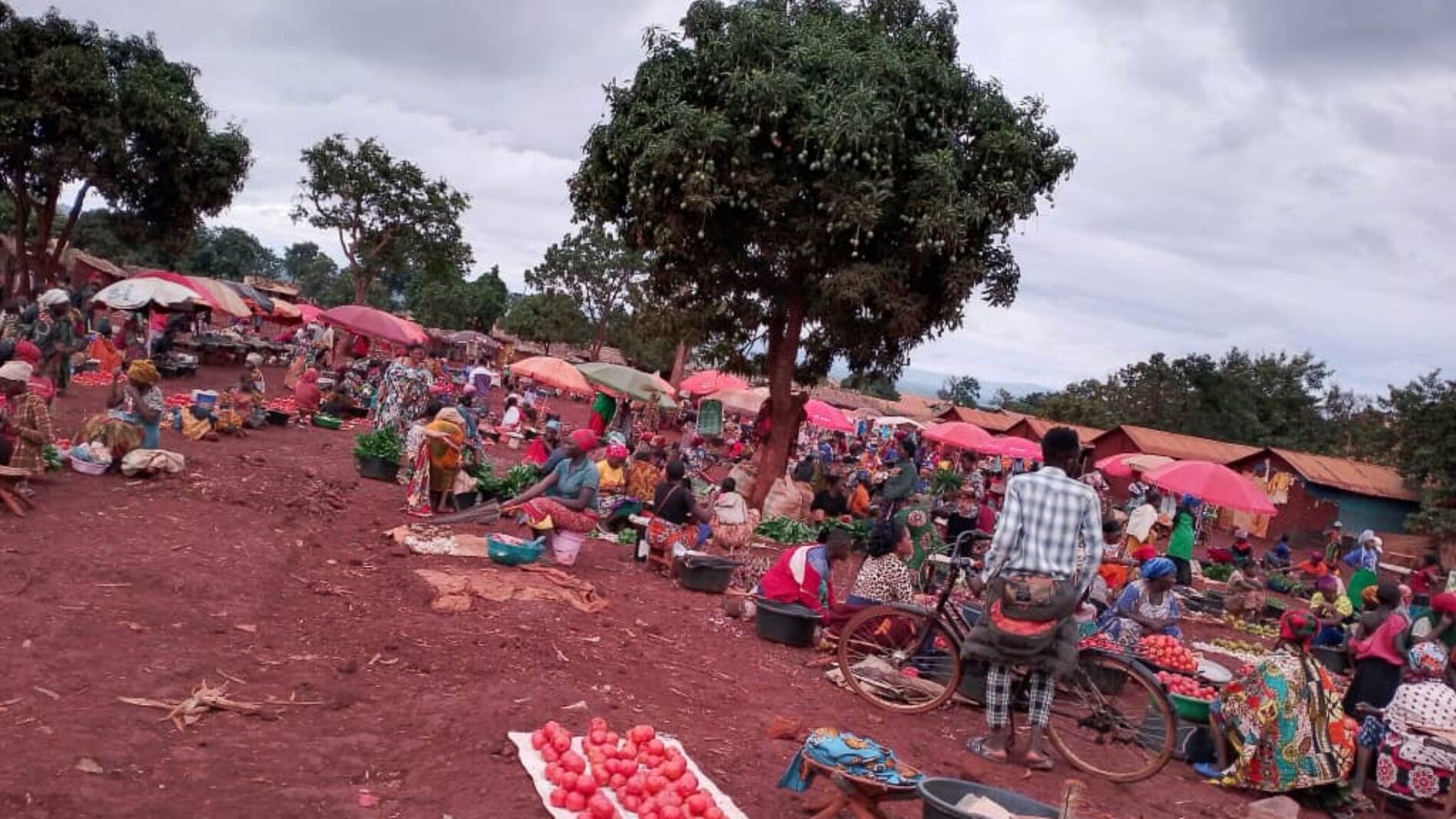 Nyarugusu (Tanzania): Watanzania walipinga utekaji nyara wa wakimbizi wa Burundi