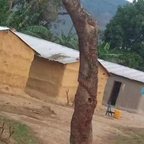 Bwagiriza: kuzuia wanandoa mchanganyiko kwa ajili ya makazi mapya