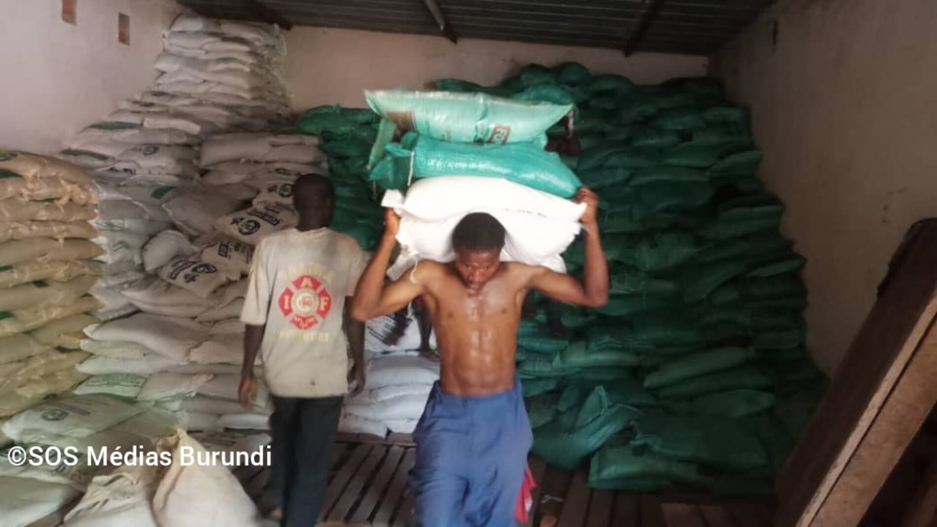 Makamba-Rutana : farmers complain about the lack of agricultural inputs