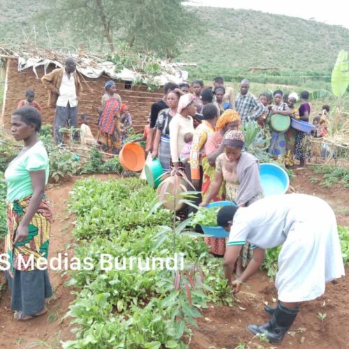 Nakivale (Uganda): Shirika la vijana inajihusisha katika mapambano dhidi ya uhaba wa chakula