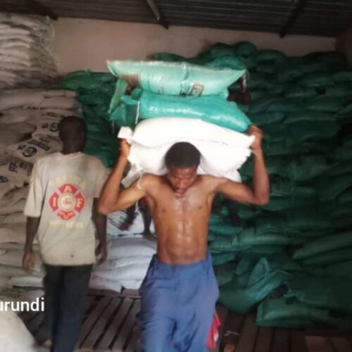Kayanza: wakulima wanalalamika ukosefu wa mbolea