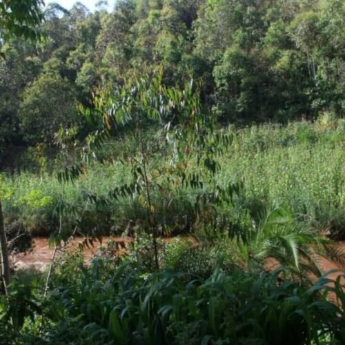 Gitega: mtu aliye kizuizini kwa mauaji