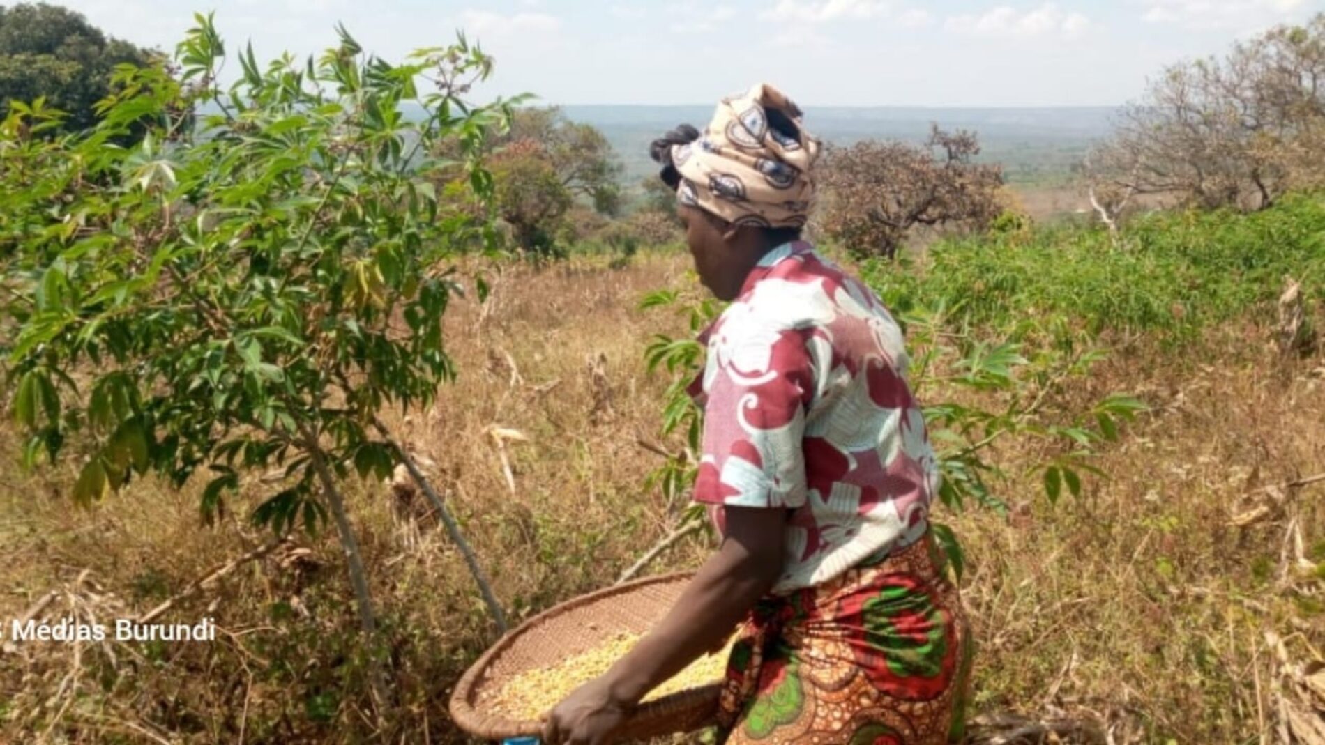 Tanzanie : aucun champ de haricots n&rsquo;est plus acceptable dans les camps de réfugiés burundais