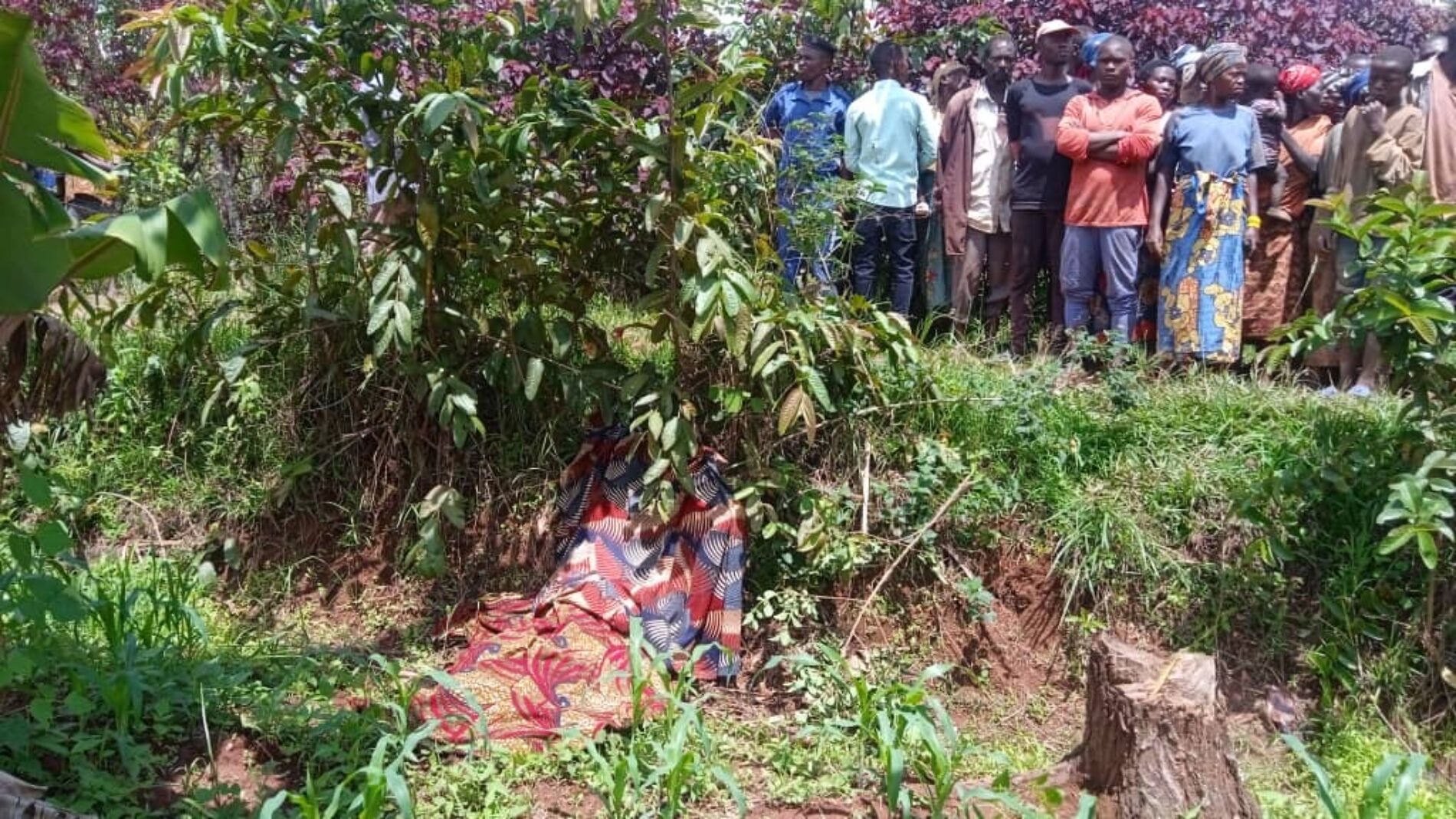 Gitega: ugunduzi wa mwili