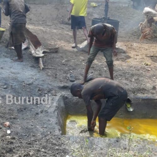 Rumonge: mlinzi wa mashamba ya mitende auawa