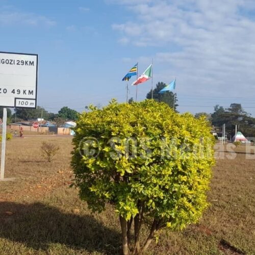 Gisuru: mwanamume amuua mamake na watoto watatu kwa panga