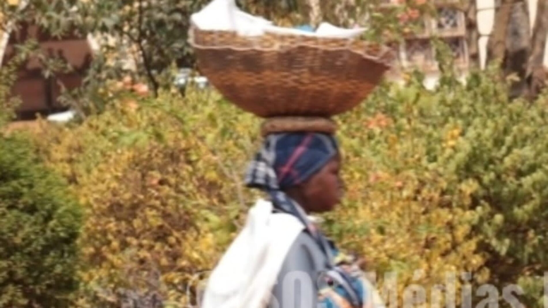 Bururi : farmers demand essential agricultural inputs
