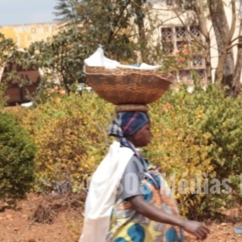 Bururi : les agriculteurs réclament des intrants agricoles essentiels