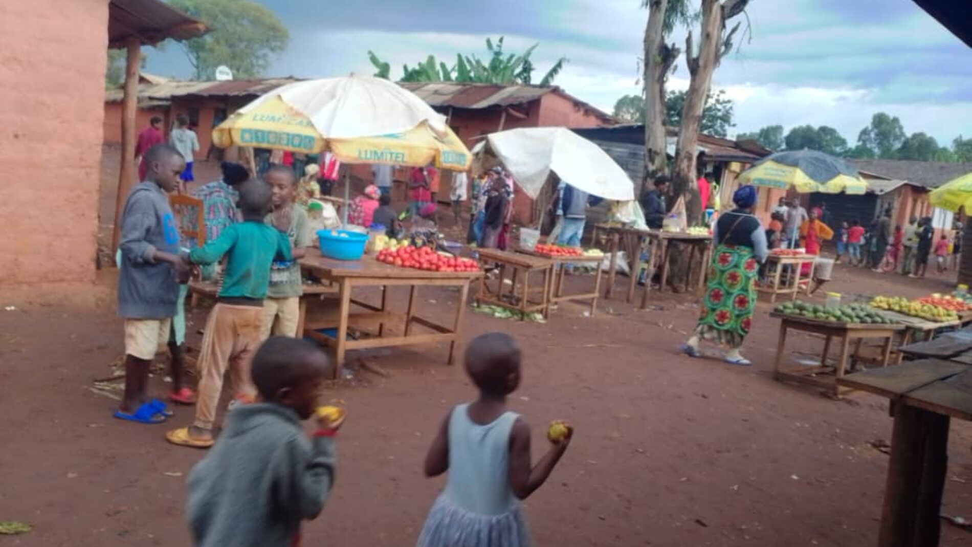 Kiremba : le champignon, une alternative à la viande grâce à son prix abordable