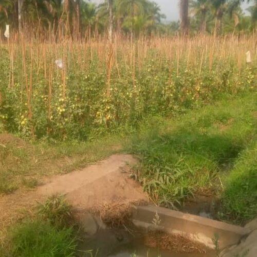 Nyanza-Lac: mwakilishi wa wakulima aliyekamatwa
