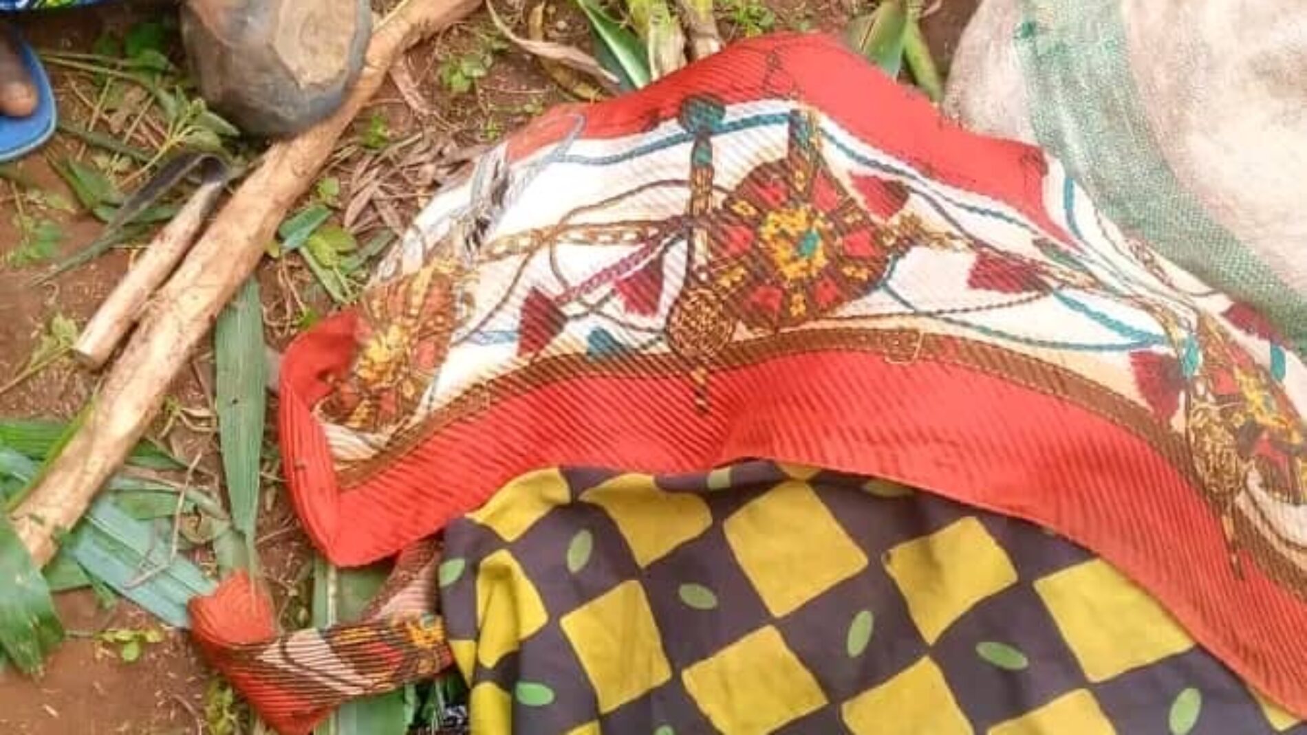 Kayogoro : a fifty-year old murdered