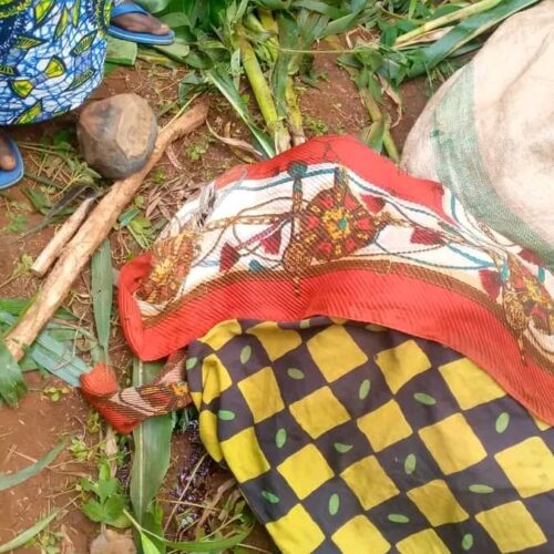 Kayogoro : a fifty-year old murdered