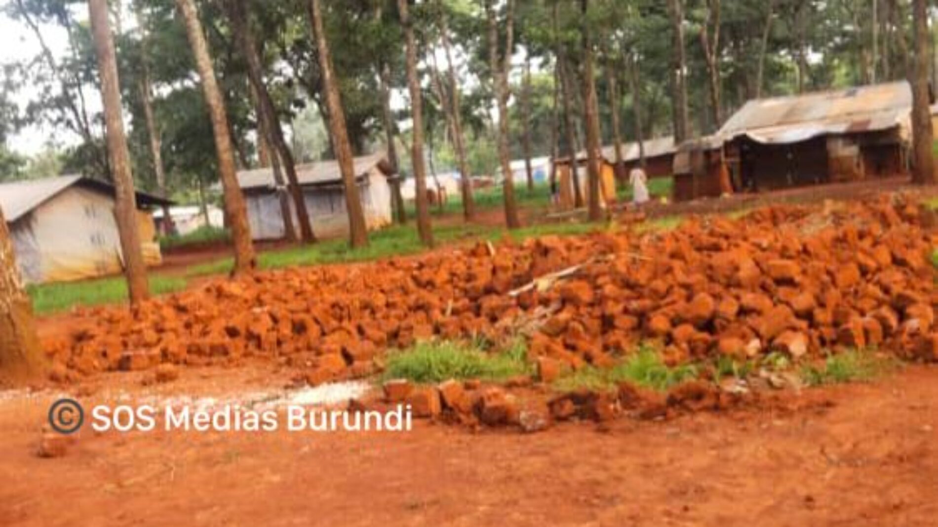 Nduta (Tanzania) : a former refugee wanted by the police