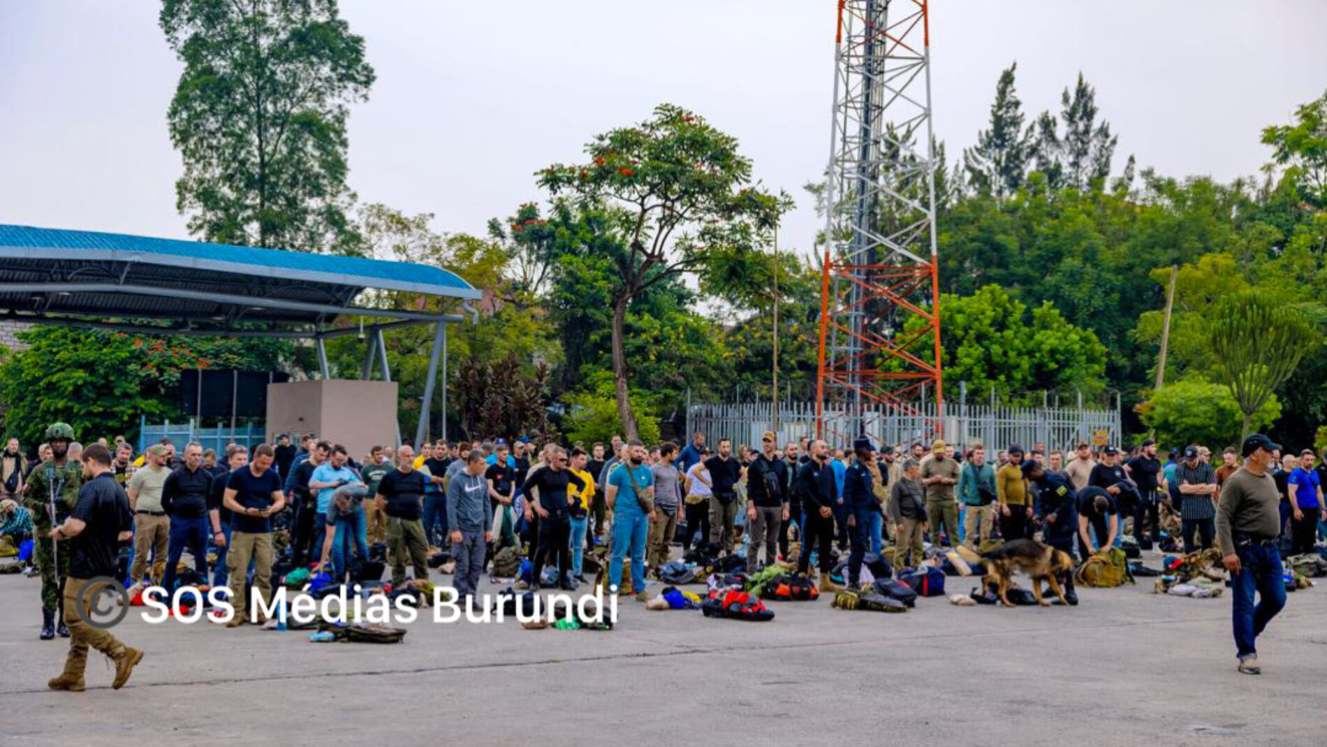 Goma: Nearly 300 European mercenaries who were helping the FARDC have surrendered