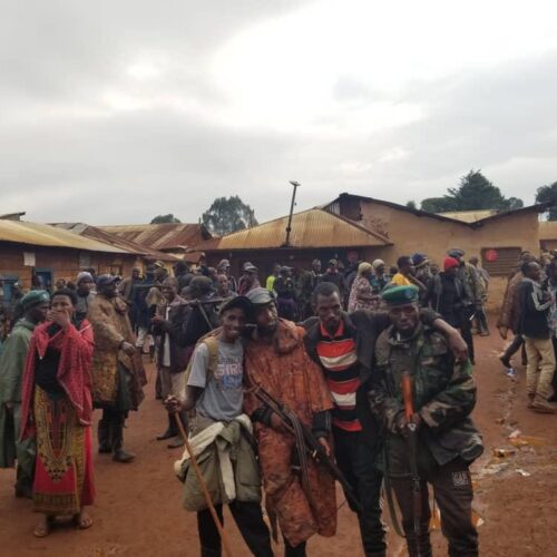 Uvira: wapiganaji wa kundi lenye silaha la Twirwaneho walimpata Minembwe